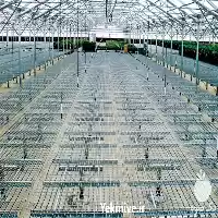 فروش سیستم گرمایش گلخانه در اصفهان در گروه خرید و فروش انواع تجهیزات کشاورزی در یکمیوه