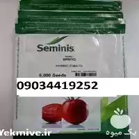 قیمت خرید بذر گوجه فرنگی باسیمو در کرمانشاه در گروه خرید و فروش بذر گوجه در یکمیوه