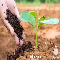 فروش کود هوموس در تهران در گروه خرید و فروش کود شیمیایی در یکمیوه