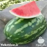 قیمت خرید بذر هندوانه آستاراخان در سنندج در گروه خرید و فروش بذر هندوانه در یکمیوه