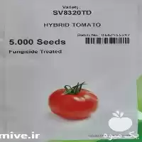 فروش بذر گوجه فرنگی هیبرید 8320 در مشهد در گروه خرید و فروش گوجه فرنگی در یکمیوه
