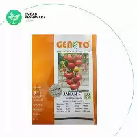 فروش بوته گوجه فرنگی هیبرید جانان در تبریز در گروه خرید و فروش نشا در یکمیوه