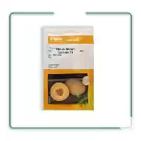 فروش بذر ملون کریر ارسال رایگان در تهران در گروه خرید و فروش بذر خربزه در یکمیوه