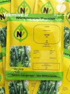 فروش بذر خیار گلخانه ای کیهان در گروه خرید و فروش بذر خیار در یکمیوه