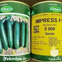 قیمت خرید بذر خیار ویلمورین در رشت در گروه خرید و فروش بذر خیار در یکمیوه