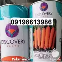 عرضه بذر هویج دیسکاوری پر فروش در تهران در گروه خرید و فروش بذر هویج در یکمیوه
