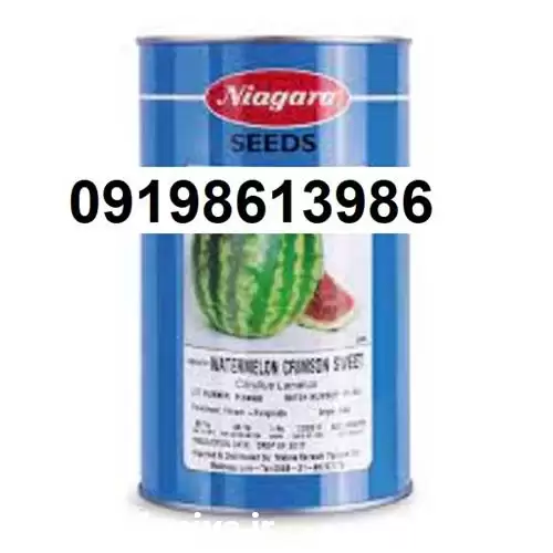 هندوانه نیاگارا پر فروش اصل در کرمان  در گروه خرید و فروش هندوانه در یکمیوه -عکس1