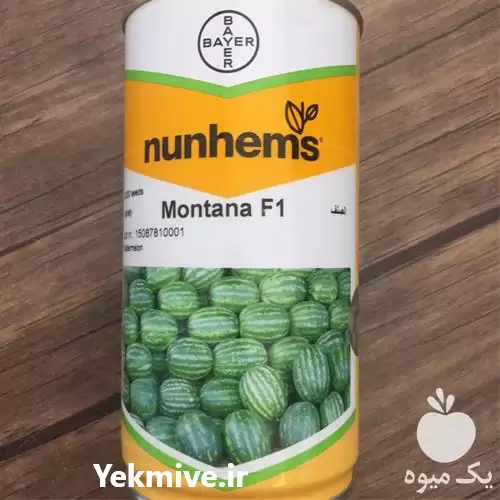 فروش بذر هندوانه مونتانا در ساری در گروه خرید و فروش بذر هندوانه در یکمیوه -عکس1