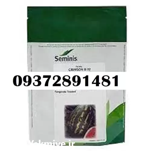 فروش بذر خیار b 32 قیمت در شیراز در گروه خرید و فروش بذر خیار در یکمیوه -عکس1