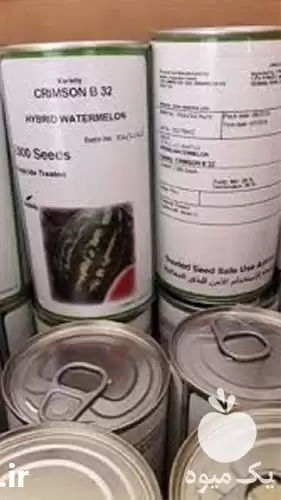 هندوانه بذر پر فروش در مشهد در گروه خرید و فروش هندوانه در یکمیوه -عکس1