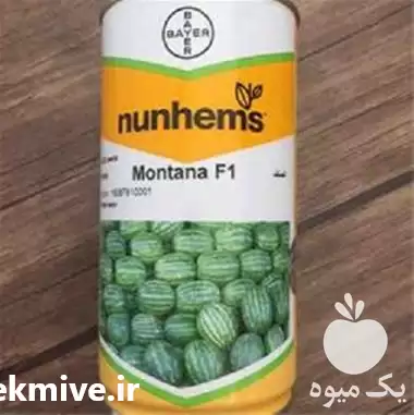 فروش بذر مونتانا در تبریز در گروه خرید و فروش هندوانه در یکمیوه -عکس1