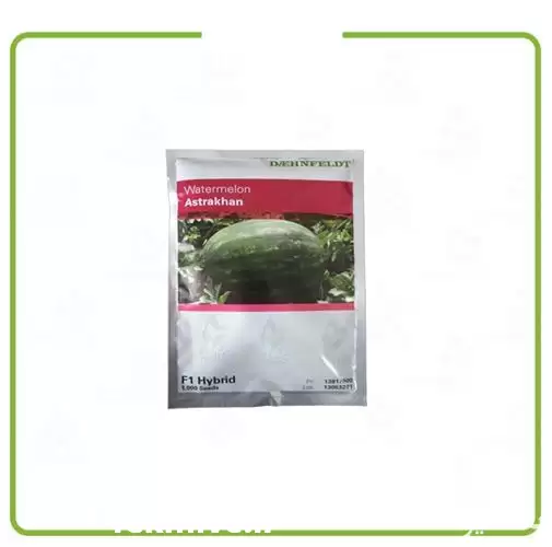 فروش سفارش بذر هندوانه آستاراخان در کرمان  در گروه خرید و فروش بذر هندوانه در یکمیوه -عکس1