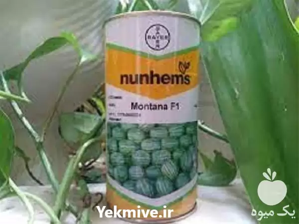 فروش بذر هندوانه مونتانا در اصفهان در گروه خرید و فروش بذر هندوانه در یکمیوه -عکس1