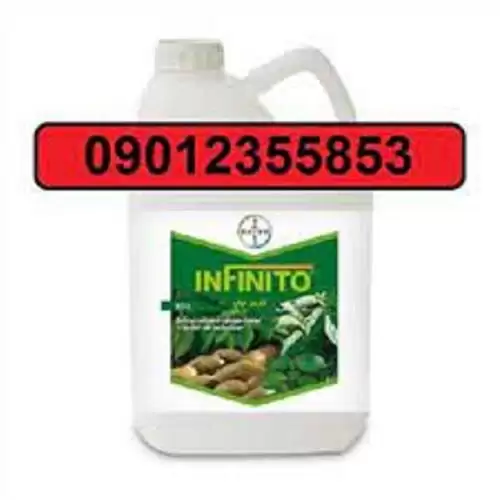 قیمت خرید قارچ کش اینفینتیو در گروه خرید و فروش انواع سم در یکمیوه -عکس1