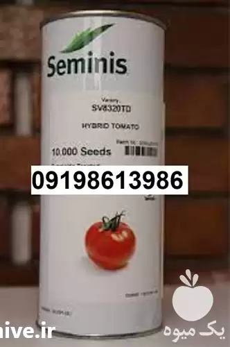 فروش تولید بذر گوجه فرنگی 8320 در گروه خرید و فروش بذر گوجه در یکمیوه -عکس1