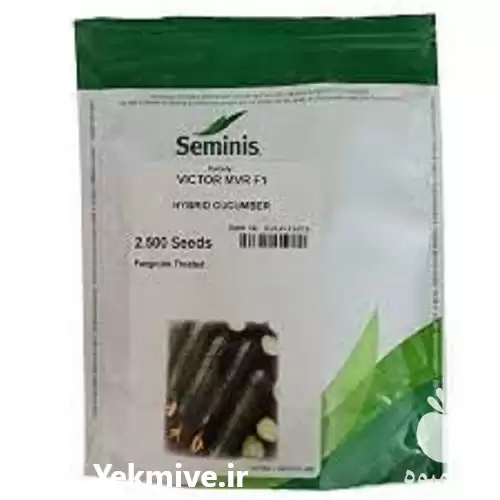 قیمت خرید ویژه بذر خیار ویکتوریا در گروه خرید و فروش بذر خیار در یکمیوه -عکس1