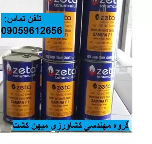 قیمت بذر پیاز زتا سمیرا در گروه مهندس کشاورزی در یکمیوه -عکس1