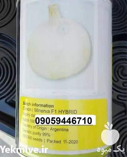 قیمت خرید بذر پیاز سفید مینروا در کرمان  در گروه خرید و فروش بذر پیاز در یکمیوه -عکس1