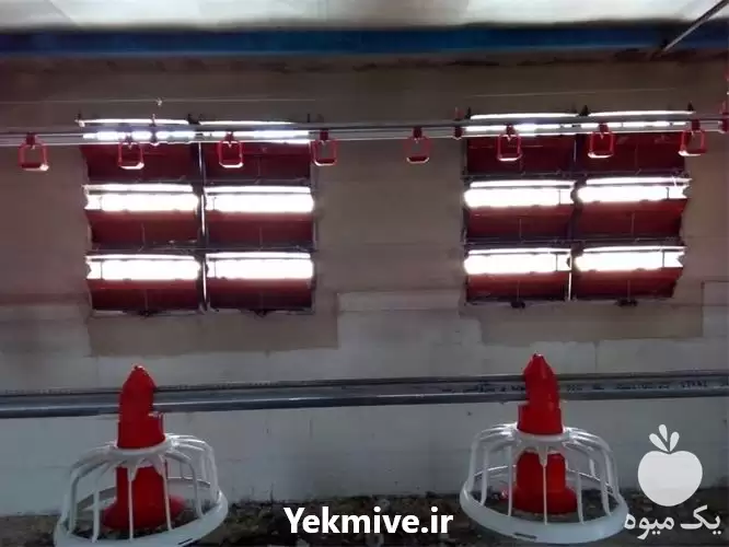 فروش قیمت لوازم مرغداری آبخوری نیپل در کرمانشاه در گروه تجهیزات مرغداری در یکمیوه -عکس1