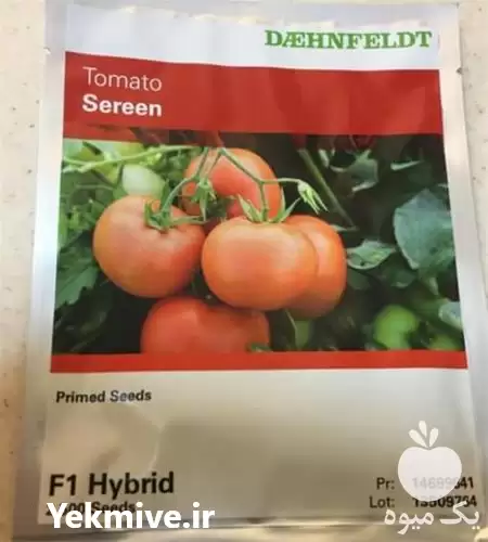 قیمت خرید بذر گوجه فرنگی سرینf 1 در اهواز در گروه خرید و فروش بذر گوجه در یکمیوه -عکس1