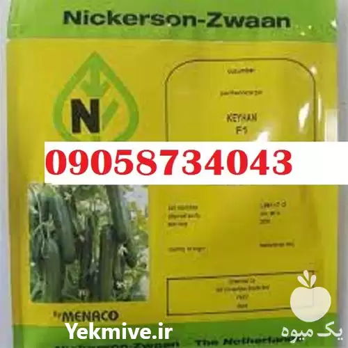 فروش بذر خیار کیهان بذر گلخانه در گروه خرید و فروش بذر خیار در یکمیوه -عکس1