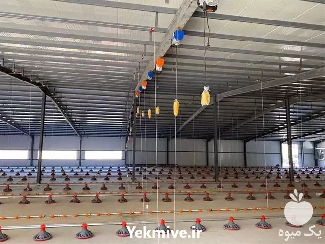 قیمت خرید کلیه تجهیزات مرغداری در تهران در گروه تجهیزات مرغداری در یکمیوه -عکس1