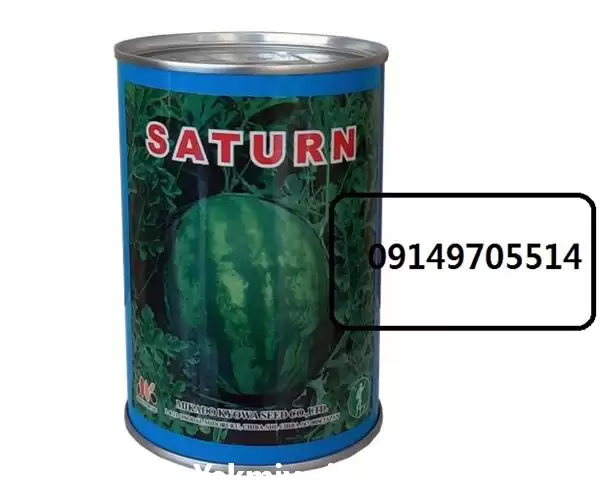 قیمت خرید بذر هندوانه میکادو ساترن در هرمز در گروه خرید و فروش بذر هندوانه در یکمیوه -عکس1