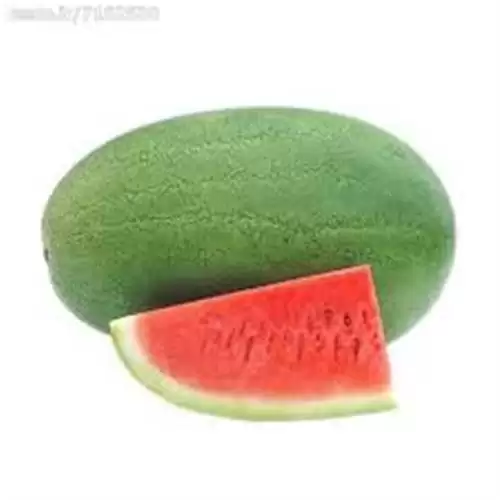 قیمت خرید بذر هندوانه چارلستون گری در ارومیه در گروه خرید و فروش بذر هندوانه در یکمیوه -عکس1