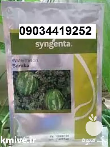 بذر هندوانه باراکا پرفروش اصل در اهواز در گروه خرید و فروش هندوانه در یکمیوه -عکس1