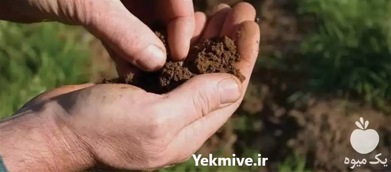 فروش ارسال خاک باغچه از معدن در تهران در گروه انواع محصولات خاک و تغذیه در یکمیوه -عکس1