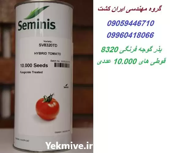 قیمت خرید بذر گوجه 8320 در اهواز در گروه خرید و فروش بذر گوجه در یکمیوه -عکس1
