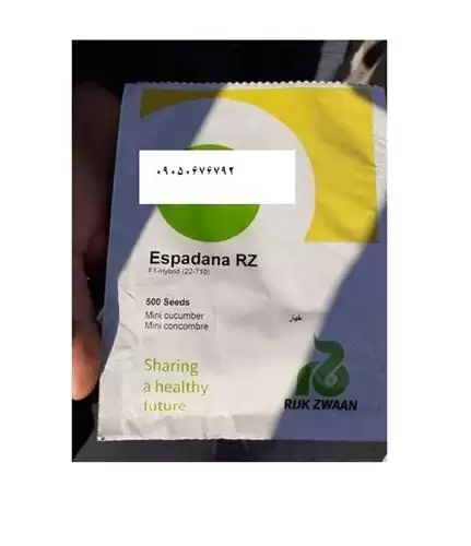 قیمت خرید بذر خیار گلخانه ای در گروه خرید و فروش بذر خیار در یکمیوه -عکس1