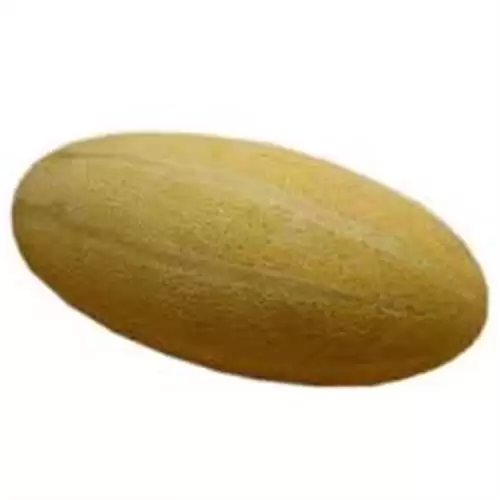 فروش بذر خربزه مینو قیمت بذر در گروه خرید و فروش بذر خربزه در یکمیوه -عکس1