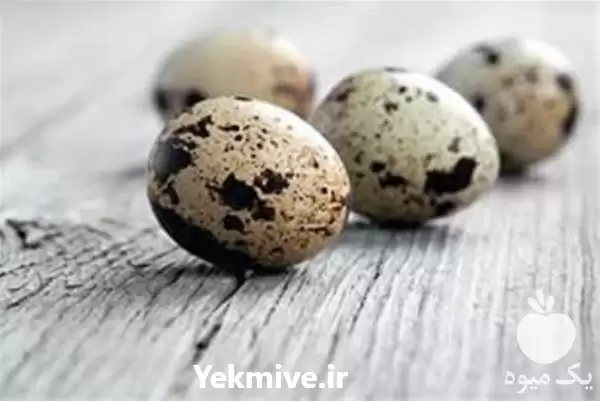 قیمت خرید انواع تخم نطفه دار در اهواز در گروه انواع تخم ها در یکمیوه -عکس1