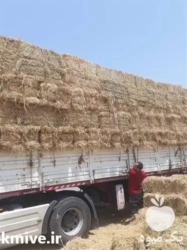 فروش کاه گندم در گروه خوراک دام و طیور در یکمیوه -عکس1