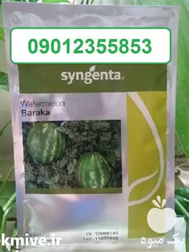 فروش بذر هندوانه باراکا با کیفیت در گروه خرید و فروش بذر هندوانه در یکمیوه -عکس1