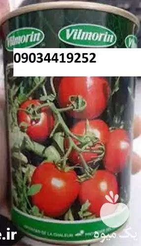 فروش قیمت گوجه فرنگی ویلمورین در گروه خرید و فروش گوجه فرنگی در یکمیوه -عکس1