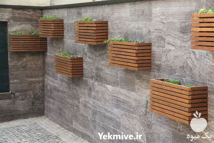 فلاور باکس باغی در گروه سازنده در یکمیوه -عکس1