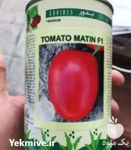 خرید بذر گوجه فرنگی متین پر در اصفهان در گروه خرید و فروش بذر گوجه در یکمیوه -عکس1