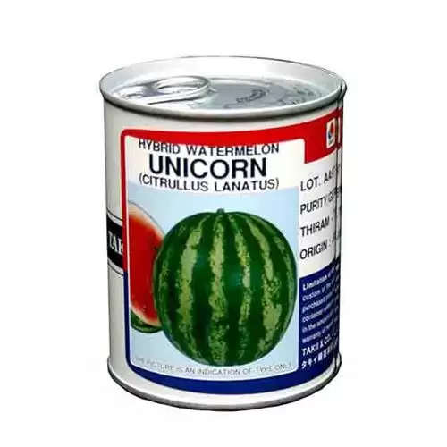 فروش بذر هندوانه یونیکورن تاکی در زاهدان در گروه خرید و فروش بذر هندوانه در یکمیوه -عکس1