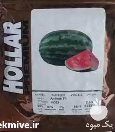 قیمت خرید بذر کریمسون پلاس هولار در زاهدان در گروه خرید و فروش میوه به در یکمیوه -عکس1