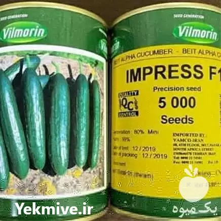 قیمت خرید بذر خیار هیبرید پربار در رشت در گروه خرید و فروش بذر خیار در یکمیوه -عکس1