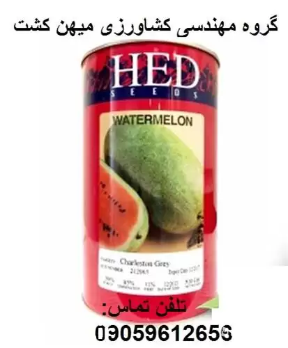 بذر هندوانه سفید هد در قزوین در گروه خرید و فروش هندوانه در یکمیوه -عکس1