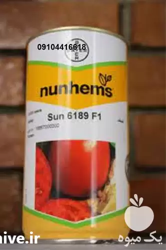 فروش بذر گوجه فرنگی سانسید 6189 در گروه خرید و فروش بذر گوجه در یکمیوه -عکس1