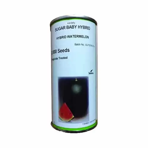 قیمت خرید بذر هندوانه سیاه شوگر در گروه خرید و فروش بذر هندوانه در یکمیوه -عکس1