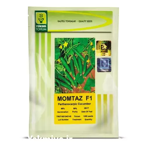 فروش بذر خیار ممتاز F 1 در سنندج در گروه خرید و فروش بذر خیار در یکمیوه -عکس1