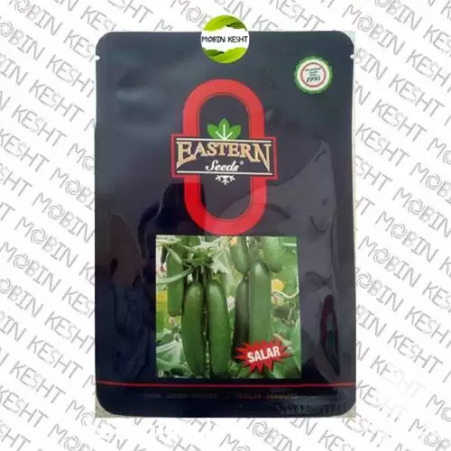 فروش اصل شرکتی بذر خیار سالار در قم در گروه خرید و فروش بذر خیار در یکمیوه -عکس1