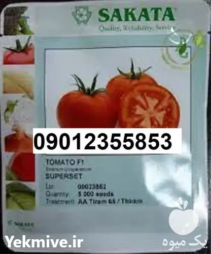 تولید بذر گوجه فرنگی ساکاتا پر در اصفهان در گروه خرید و فروش بذر گوجه در یکمیوه -عکس1