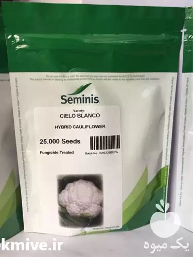 فروش بذر گل کلم مرغوب سیلو در سمنان در گروه خرید و فروش بذر صیفی جات در یکمیوه -عکس1