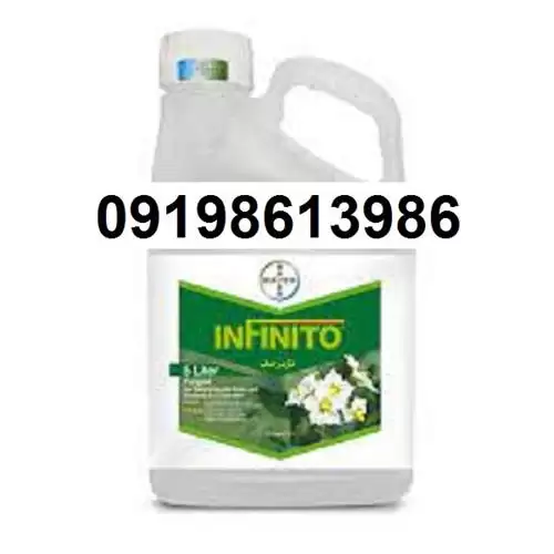 قارچ کش اینفتیو پر فروش اصل در اصفهان در گروه خرید و فروش انواع سم در یکمیوه -عکس1